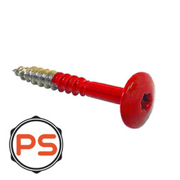 HPL Schroeven RVS 4,8 x 100 100st