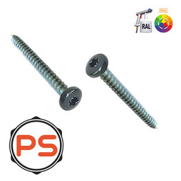 Spaanplaatschroeven op kleur Verzinkt 5,0 x 60 Bolkop Torx 200 st Spaanplaatschroeven op kleur Verzinkt 5,0 x 60 Bolkop Torx 200 st