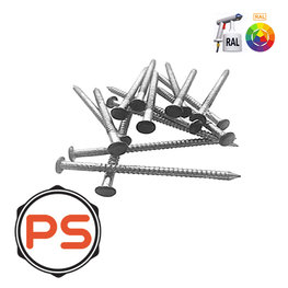 Potdekselspijkers 2,8 x 50 100st.